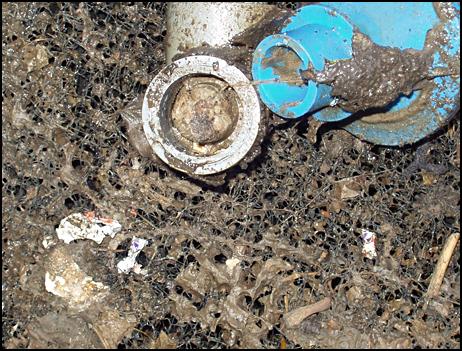 sewage5